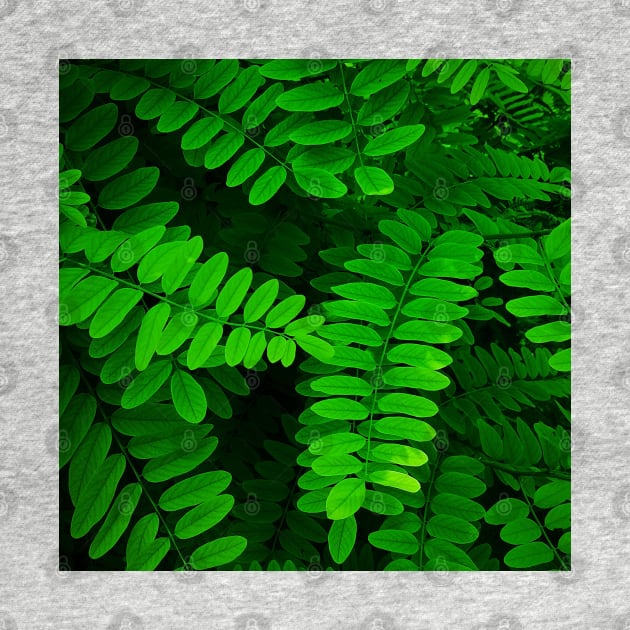 Green Leaves by DesignMore21